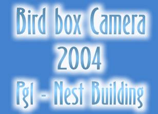 Bird Box Camera 2004 - page 1 - Nest Building