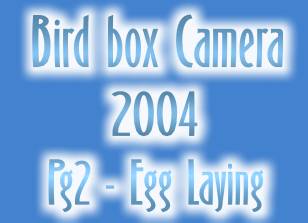 Bird Box Camera 2004 - page 2 - Egg Laying