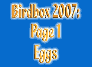 Birdbox 2007 - page 1 - Eggs
