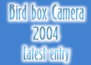 Bird Box Camera 2004 - latest entry