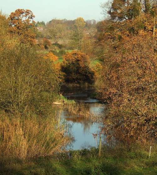 The River Stour seen from the S&D trackbed near Shillingstone station, Nov. 2007.
