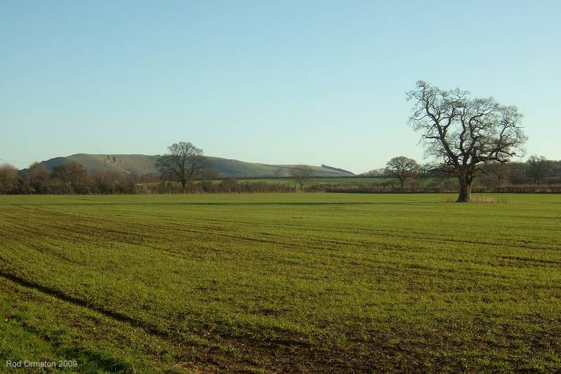 View from the North Dorset Trailway near Fiddleford, Somerset & Dorset Railway, Dec. '09.
