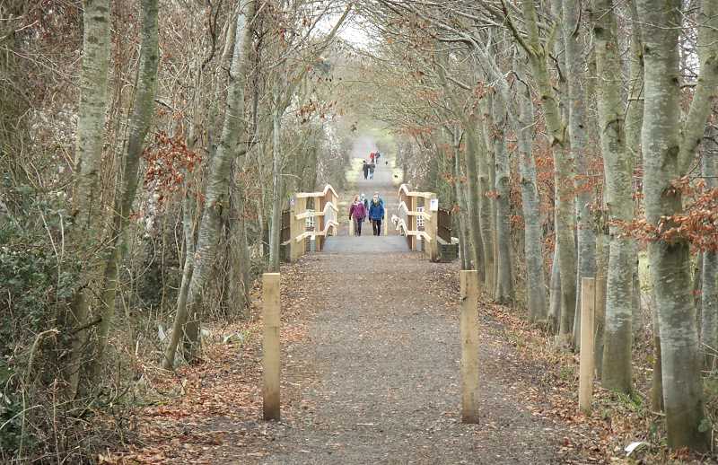 Hodmoor (Stourpaine) Bridge, North Dorset Trailway, January 2011.